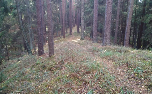 37_Targių ozai (3).jpg